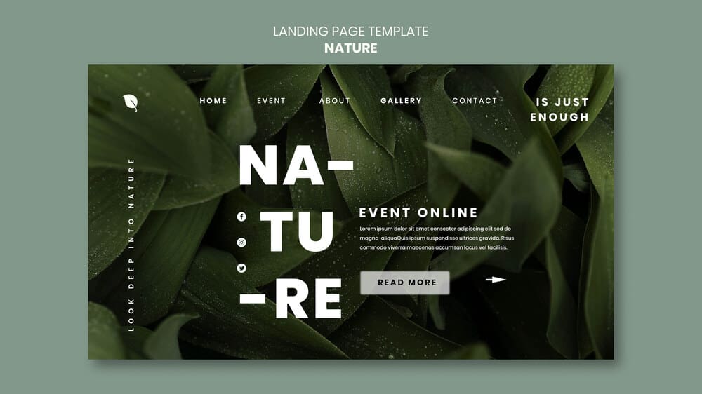 Biophilic Web Design: How to Infuse Nature-Inspired Elements into Your Website